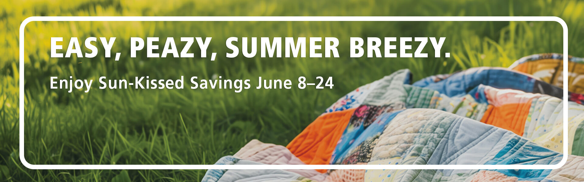 BERNINA Monthly Promotions